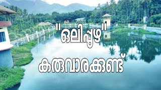 Natural River Bath At Kerala