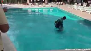 Alex Carey Accidentally Fall into Swimming Pool in Karachi Hotel | Funny Moment