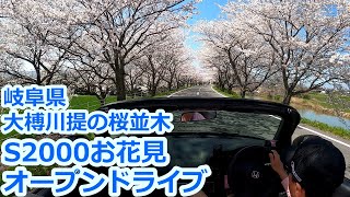 【S2000】大榑川提の桜並木 満開 オープンドライブ