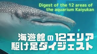 海遊館の12エリア、駆け足ダイジェスト【アリューシャン列島から北極圏まで】