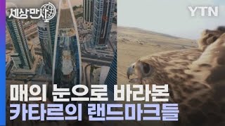 [세상만사] 매의 등에 카메라를 설치해 촬영한 카타르의 명소들 / YTN 사이언스