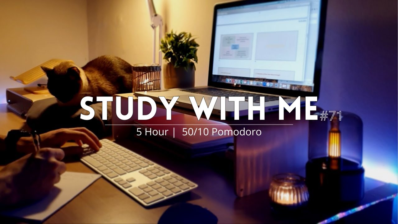 5 Hour Study With Me 50 10 Pomodoro Calm Rain Sound For Study