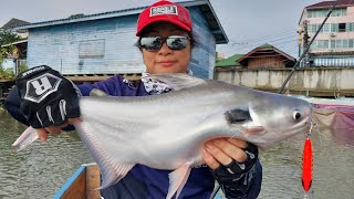 Bangkok Chao Phraya River Fishing Black Ear Catfish 泰国曼谷昭披耶河钓鱼团 | 路亚钓黑耳巴丁鱼