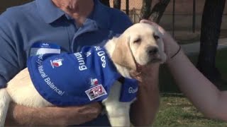 Guide dog trained in San Antonio, placed with companion in Houston