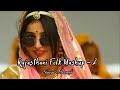 lo fi rajasthani folk anthem 2 slowed reverb new folk mashup 2022 rashmi n.