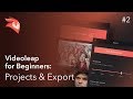 Enlight Videoleap for Beginners: Projects and Export