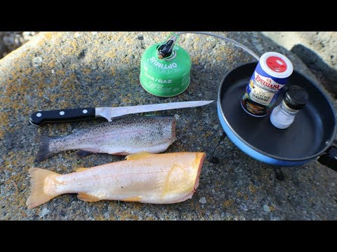 Golden Trout vs. Rainbow Trout Catch n' Cook Taste Test! Golden Trout vs. Rainbow Trout Catch n' Cook Taste Test!