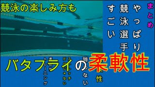 【初心者バタフライ講座】競泳選手のすごさを伝えます！