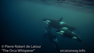 The Orca Whisperer - S6 - EP08 - Orca family