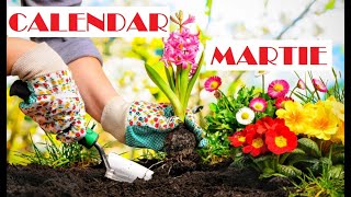 Calendarul lunii Martie/ Ce semănăm în martie🌱🌱🌱