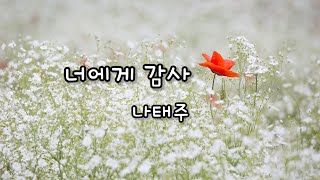 너에게 감사 -나태주