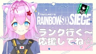 【🌟R6S🌟】ランクする！レインボーシックスシージ 【Vtuberゲーム実況】【女性実況】