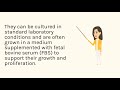 NCI-H1975 Transfection Kit