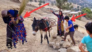 A strange story: The donkey that builds a house,