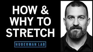 Improve Flexibility with Research-Supported Stretching Protocols | Huberman Lab