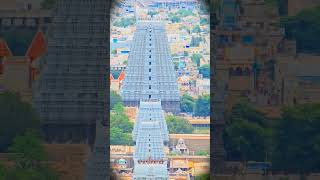 Ever Visited Arunachalam Temple #arunachalam #tiruvannamalai