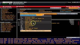 Leverage Factor Investment Strategy Testing in Bloomberg