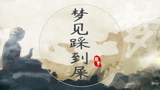 夢見踩到屎什么意思