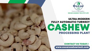 Fully Automatic Turnkey Cashew Processing Unit_oscar Cashew Tech_for Inquiry : 919714477155