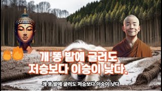 개 똥 밭에 굴러도 저승보다 이승이 낮다.