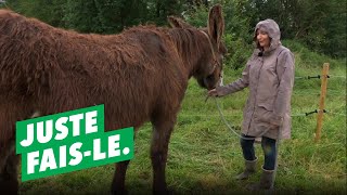 Elle se lance dans le savon au lait d’ânesse