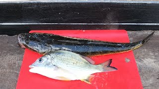 Kayak fishing Moreton bay/ raby bay shallow reef  flathead, bream and pesky pike