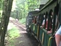 Cass Scenic train ride, 2014,WV trip