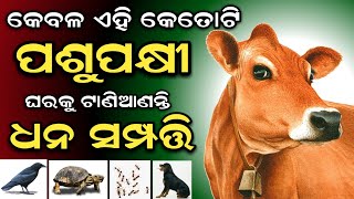 ଏହି କେତୋଟି ( ପଶୁ ପକ୍ଷୀ )ଆପଣଙ୍କ ଘରକୁ ଟାଣିଆଣନ୍ତି ଧନସମ୍ପତି | କରନ୍ତୁ ଏହି ଉପାୟ | Odia Anuchinta#Vastutips