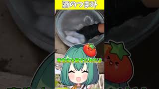 でかイカで塩辛を手作り！【ゆっくり実況】#shorts