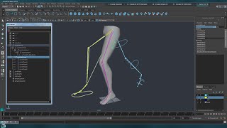 Rig an Ik Fk Leg - Maya (Part1)