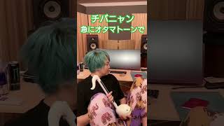 急にお気持ち表明する音楽家チバニャン　#レペゼンフォックス #レペゼン #shorts#チバニャン#恋愛#結婚#楽器#演奏してみた