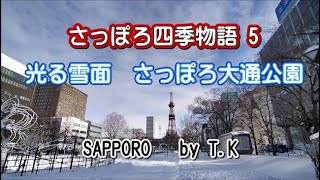 光る雪面・大通公園　さっぽろ四季物語