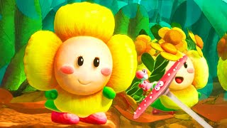 Yoshi and the Mysterious Book - Chapter 9 - 100% Walkthrough (All Discoveries & Flowers)