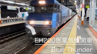 【貨物/freight】EH200形電気機関車Blue Thunder 豊田駅通過 2024/09/17 23:50 #cargo #jr中央線 #貨物列車 #電車 #train