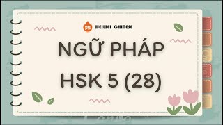 HSK 5 语法 | NGỮ PHÁP HSK 5 - PHẦN 28|  从此、假设、堆、反映 vs 反应