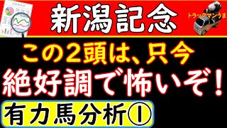 新潟記念2021年の予想オッズ上位馬を分析！この末脚は新潟で爆発！