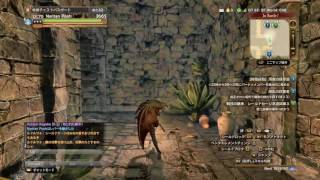 【DDON】戦技継承　シールドセージ求道試練3(パーソナルクエスト)