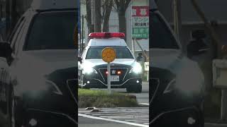 220系パトカー　緊急走行！