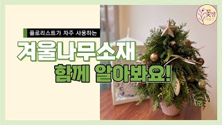 꽃집에서 크리스마스에 자주 사용하는 겨울 나무소재 알아보기