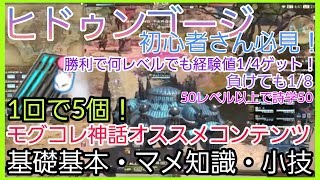 【ＦＦ１４】ヒドゥンゴージ初心者さん必見！基礎基本、小技やマメ知識も！　モグモグコレクションおすすめコンテンツ☆