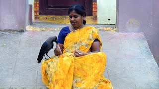 ఈ కాకి.. ఏ‘కాకి’ కాదు!.. ఇదో 'కాకి' కథ | story of Crow and woman friendship in Khammam district