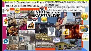 PURE EVIL The Home Insurance Companies Files (DEEP-DIVE) Capitalism, Climate Change, &, True Crime