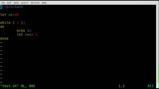 Breaking Loops - BASH - Linux