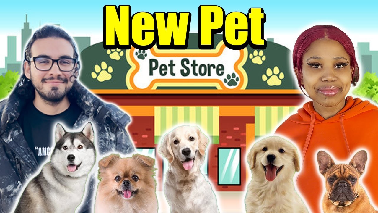 Our New Pet Youtube