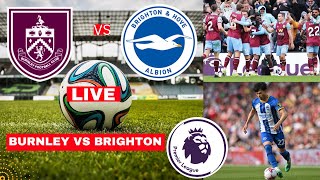 Burnley vs Brighton 1-1 Live Stream Premier League Football EPL Match Today Score Highlights 2024