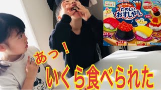 らんらん【最強3歳】No212 お兄ちゃんの逆襲！？いくら食べられた！