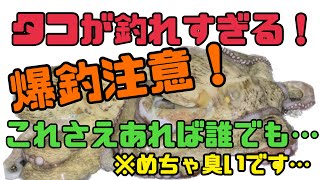 【タコ釣り】タコが釣れすぎる！爆釣注意！これさえあれば誰でも釣れる？！〜めちゃくちゃ臭いけど効果抜群！〜　#釣り  #夜釣り  #タコ