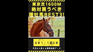 【競馬】東京芝1600mで買うべき種牡馬BESＴ3！#shorts