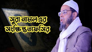 সুরা নামল এর নামকরণ বিষয়বস্তু ও সংক্ষিপ্ত তাফসির।Mufti Nasiruddin Ansari Waz 2022 AnsariMedia Tafsir