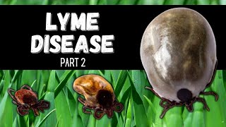Lyme Disease is a Growing Problem.  Where, Symptoms, Treatments, and Prevention. PART 2